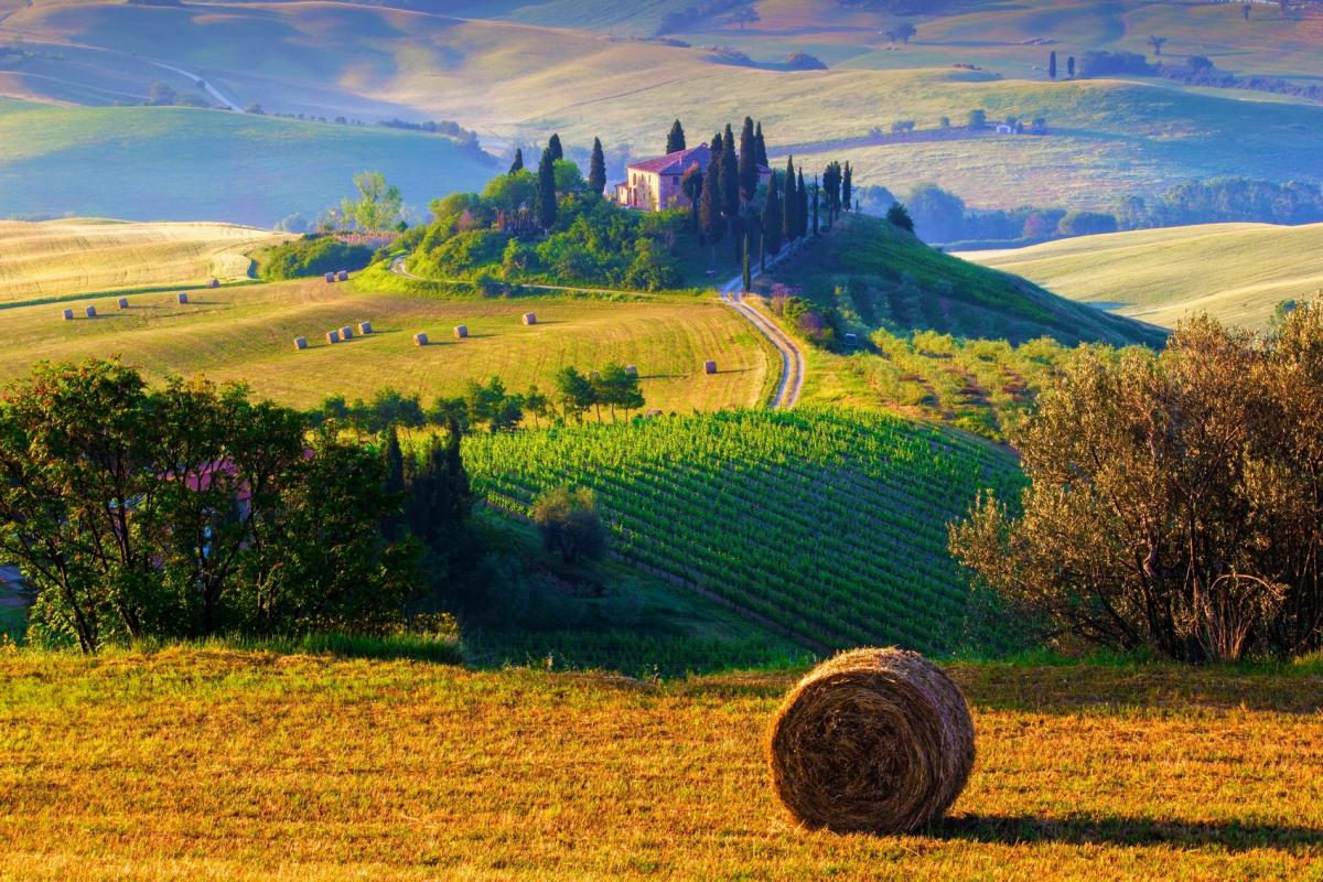 Tuscan Countryside