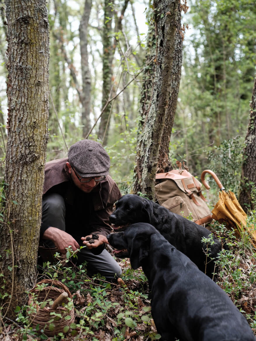 Truffle Hunting 